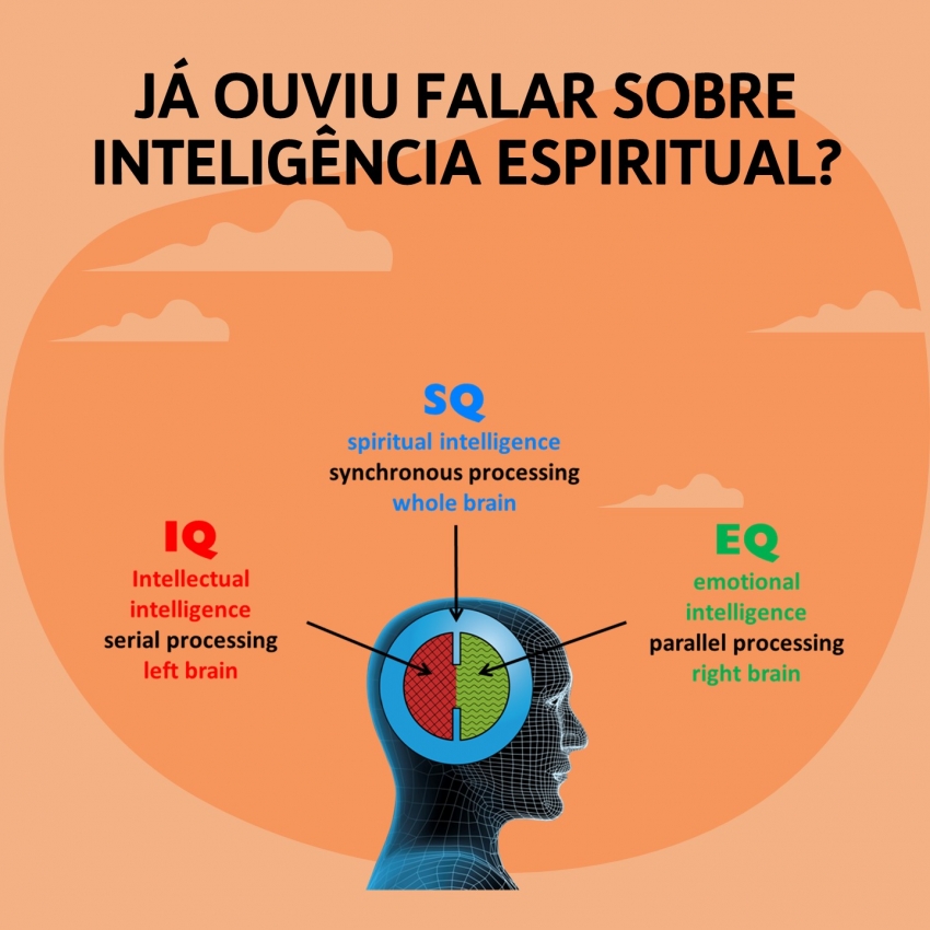 Inteligência Espiritual:  A direção necessária para indivíduos e empresas no mundo Pós-Digital