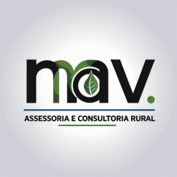 MAV ASSESORIA E CONSULTORIA