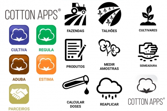 Cotton Apps: paixão e estudos sobre o algodão se tornam plataforma para auxiliar produtores