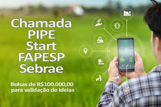 Chamada PIPE Start FAPESP Sebrae oferece bolsa de R$100.000,00 para validação de ideias tecnológicas